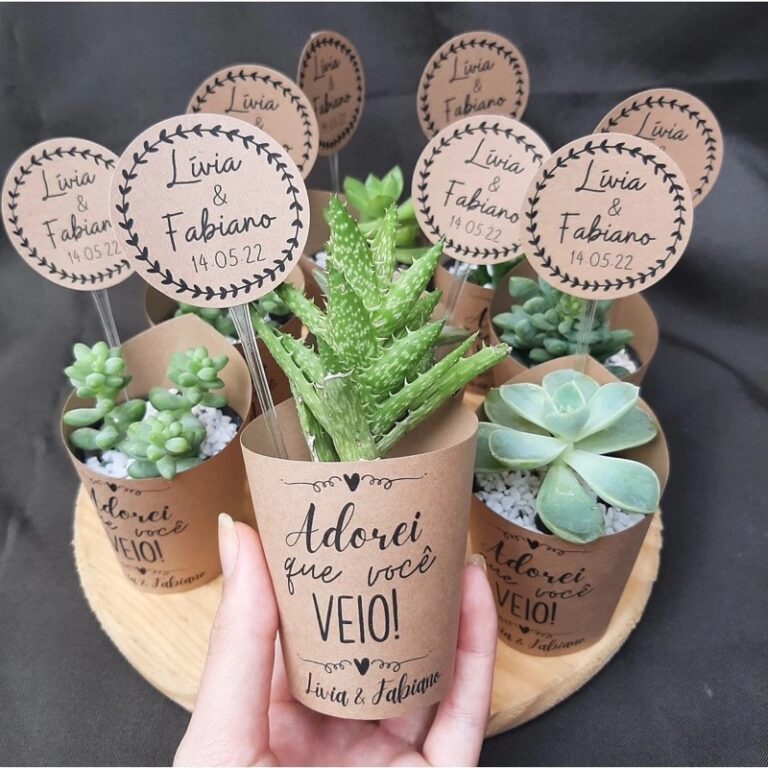Suculenta com tag personalizada