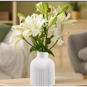 Kit com 15 vasos de gesso
